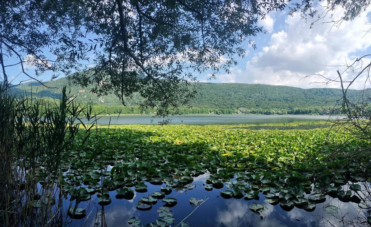 Villa Enrico Monticchio  Dış mekan fotoğraf